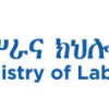 Labor and Skill Minister of Ethiopia